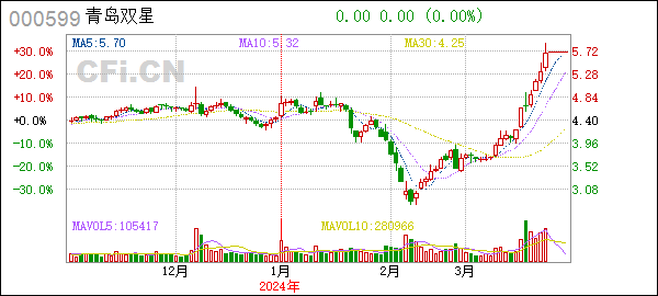 [年报]青岛双星(000599):2023年年度报告
