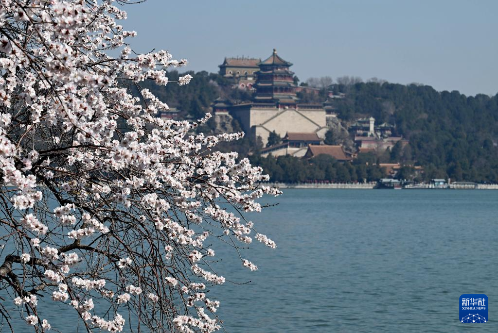 花开颐和园