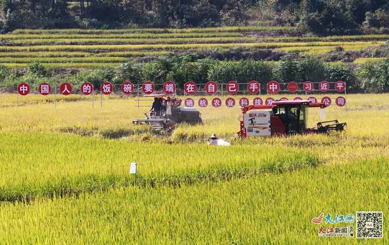 牢记总书记嘱托 富硒赣南升腾新希望