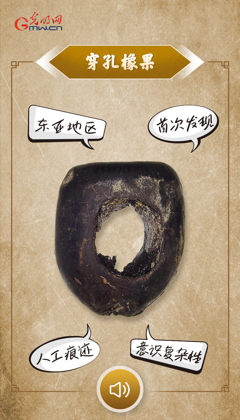 “文物会说话”有声海报|@所有人,带你探索“十大考古新发现”